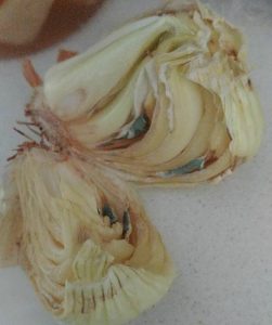 27657486_10155999647204519_7899211840399610105_n